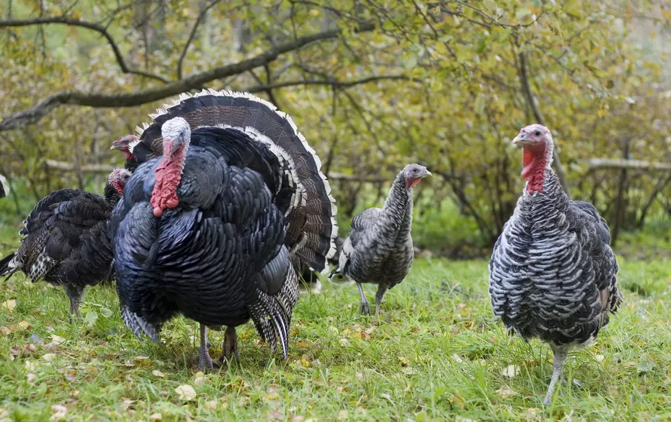West Bowie County National Wild Turkey Federation Annual Banquet