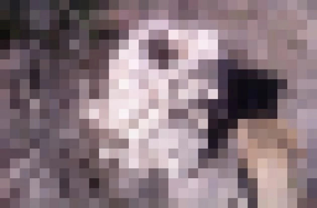 Guess What - DL - 9 Guess What - DL - 9