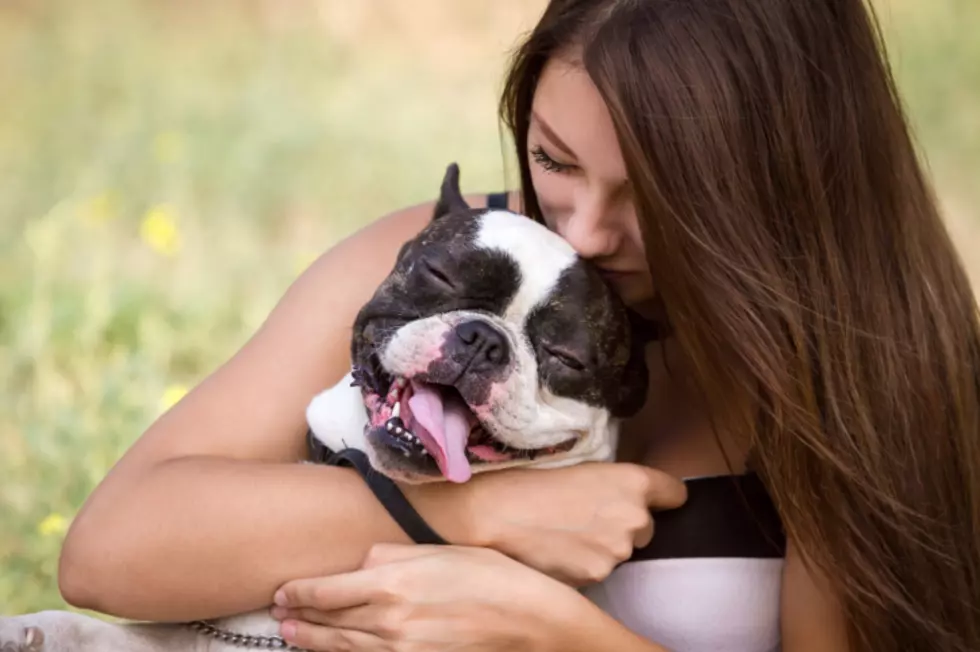 Texarkana to Celebrate Dog Park Openings in Texas and Arkansas