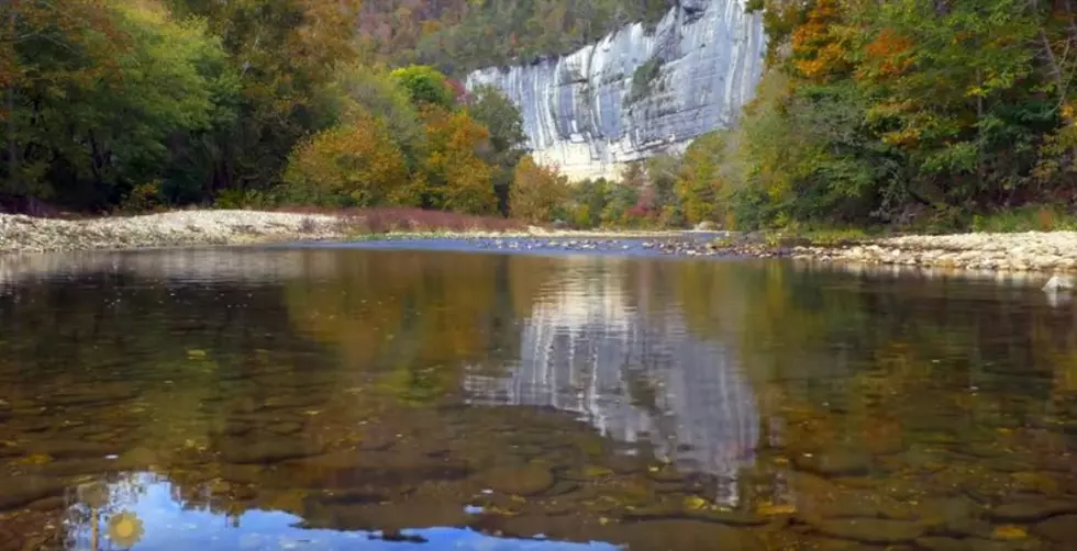 New Arkansas Specialty License Plate is Beautiful and Stunning