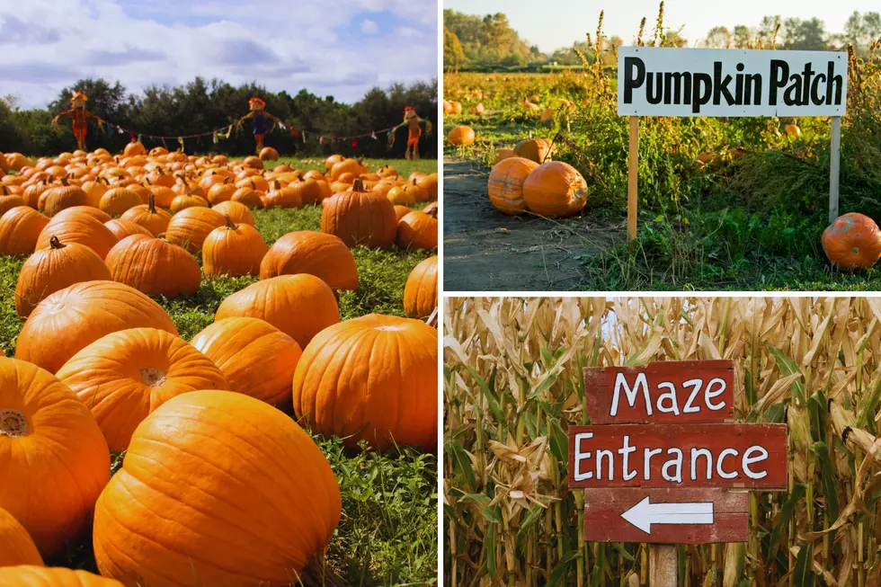 Top Rated: Peebles Farm Pumpkin Patch and Corn Maze in Arkansas