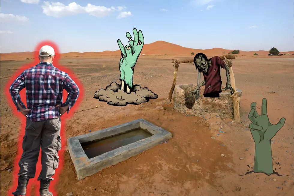 Wait, There Are Things Such As Things As Zombie Wells In Texas?!?